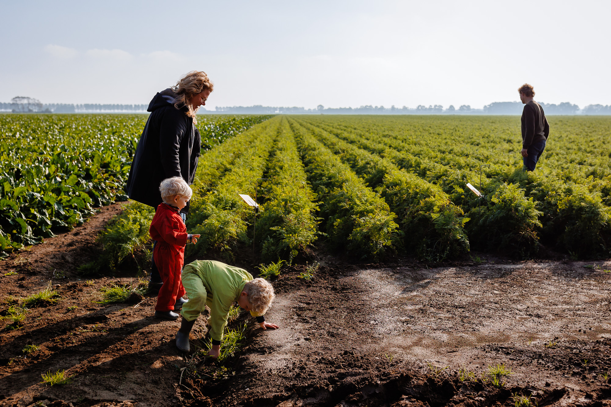 Day in the life op een boerderij | Familiefotograaf Utrecht